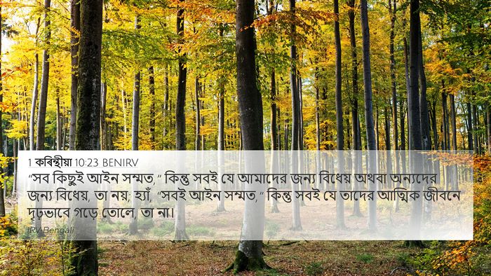 1 কৰিন্থীয়া 10:23 BENIRV Bible Verse Image
