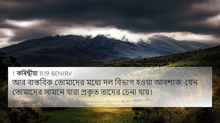 1 কৰিন্থীয়া 11:19 BENIRV Bible Verse Image