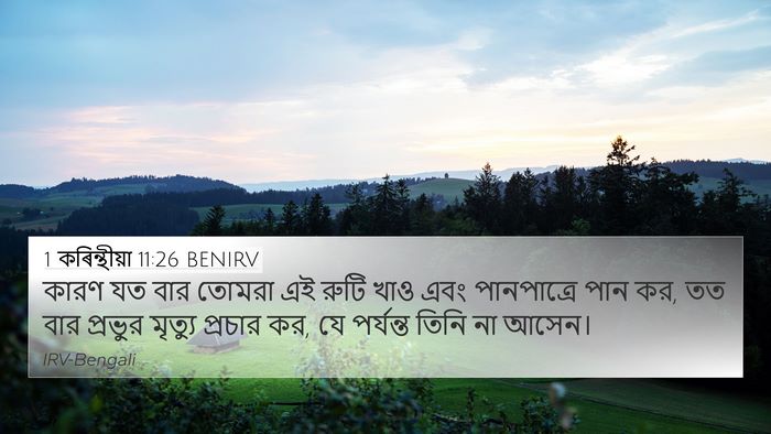 1 কৰিন্থীয়া 11:26 BENIRV 4K Wallpaper - কারণ যত বার তোমরা - 4K Wallpaper Bible Verse