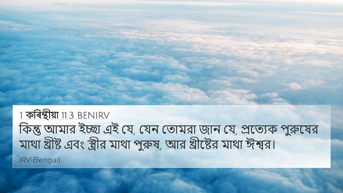 1 কৰিন্থীয়া 11:3 BENIRV Bible Verse Image