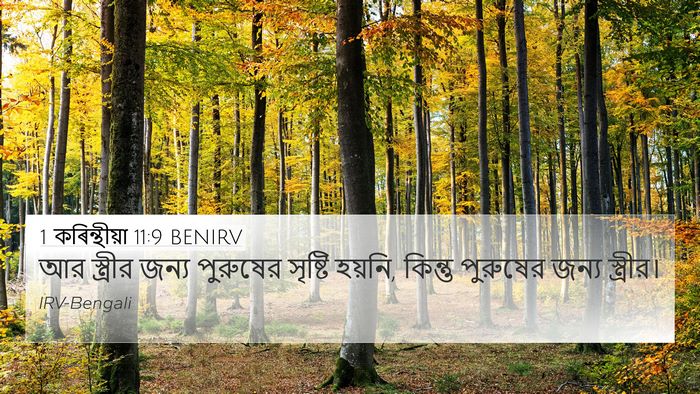 1 কৰিন্থীয়া 11:9 BENIRV 4K Wallpaper - আর স্ত্রীর জন্য - 4K Wallpaper Bible Verse