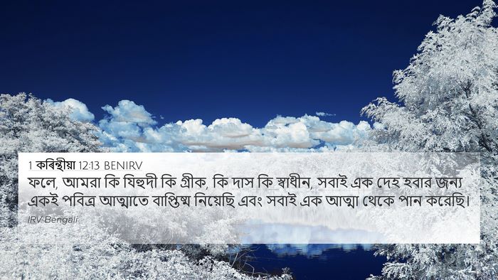 1 কৰিন্থীয়া 12:13 BENIRV Bible Verse Image