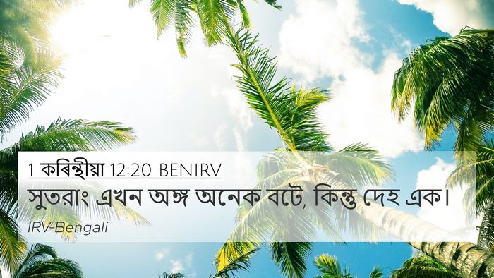 1 কৰিন্থীয়া 12:20 BENIRV Bible Verse Image