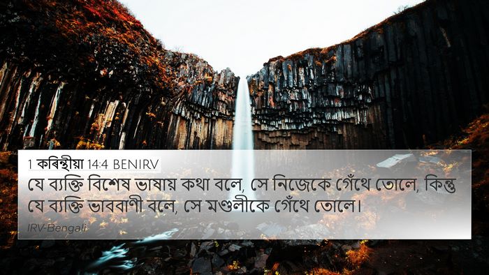 1 কৰিন্থীয়া 14:4 BENIRV Bible Verse Image