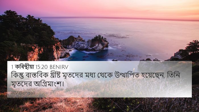 1 কৰিন্থীয়া 15:20 BENIRV Bible Verse Image