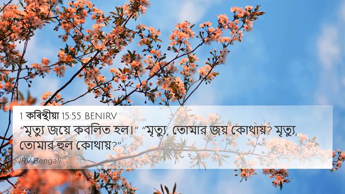 1 কৰিন্থীয়া 15:55 BENIRV Bible Verse Image