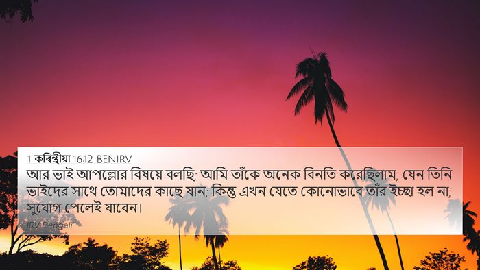 1 কৰিন্থীয়া 16:12 BENIRV Bible Verse Image