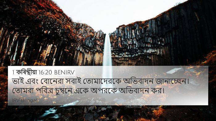 1 কৰিন্থীয়া 16:20 BENIRV Bible Verse Image