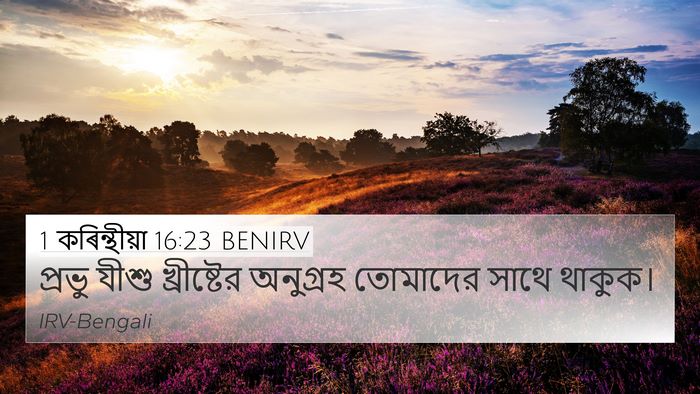 1 কৰিন্থীয়া 16:23 BENIRV Bible Verse Image
