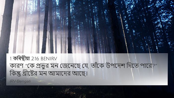 1 কৰিন্থীয়া 2:16 BENIRV 4K Wallpaper - কারণ “কে প্রভুর মন - 4K Wallpaper Bible Verse