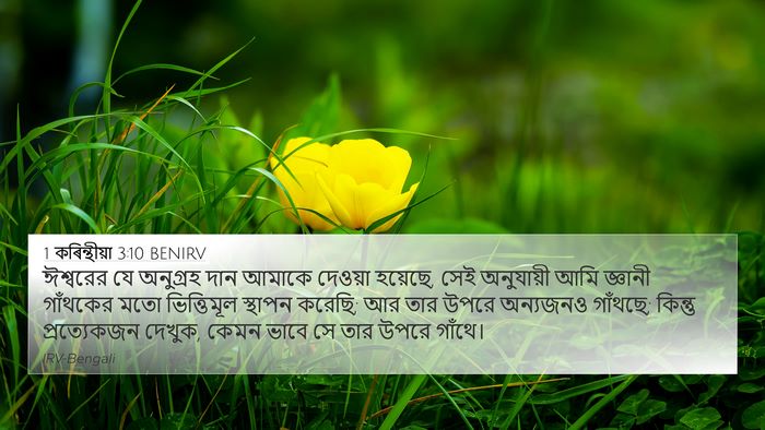 1 কৰিন্থীয়া 3:10 BENIRV Bible Verse Image