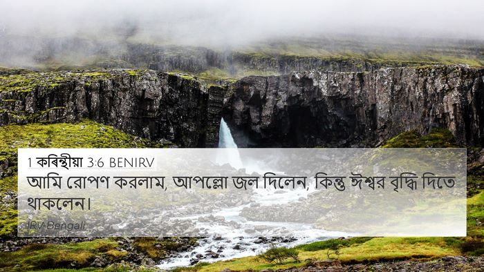 1 কৰিন্থীয়া 3:6 BENIRV Bible Verse Image