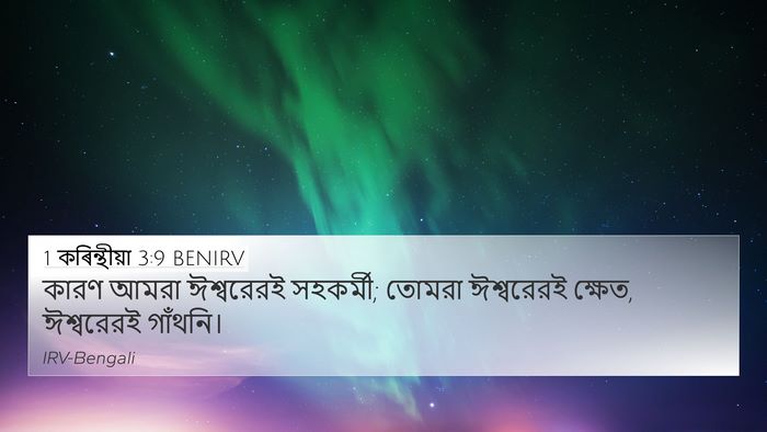 1 কৰিন্থীয়া 3:9 BENIRV Bible Verse Image