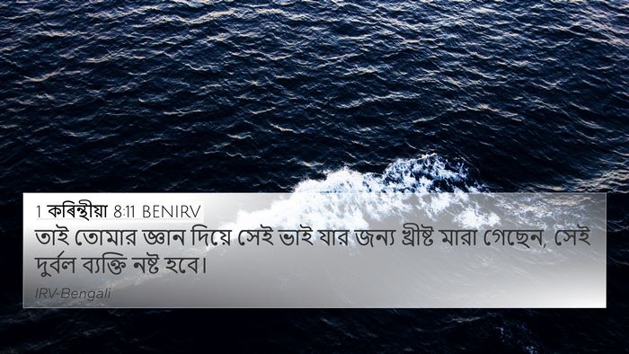 1 কৰিন্থীয়া 8:11 BENIRV Bible Verse Image