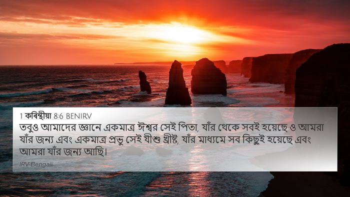 1 কৰিন্থীয়া 8:6 BENIRV Bible Verse Image