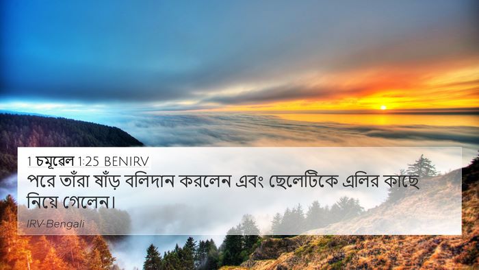 1 চমূৱেল 1:25 BENIRV 4K Wallpaper - পরে তাঁরা ষাঁড় - 4K Wallpaper Bible Verse