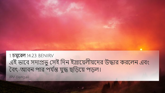 1 চমূৱেল 14:23 BENIRV Bible Verse Image