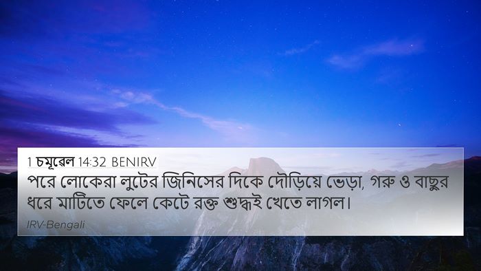 1 চমূৱেল 14:32 BENIRV 4K Wallpaper - পরে লোকেরা লুটের - 4K Wallpaper Bible Verse