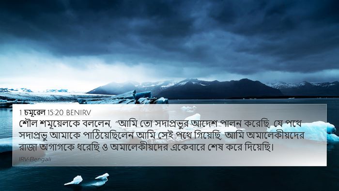 1 চমূৱেল 15:20 BENIRV Bible Verse Image