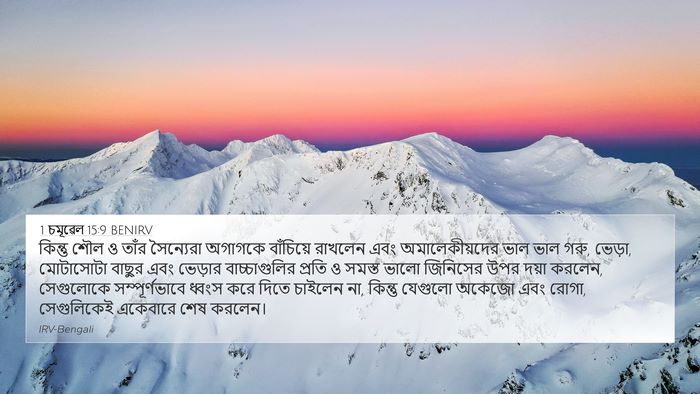 1 চমূৱেল 15:9 BENIRV Bible Verse Image