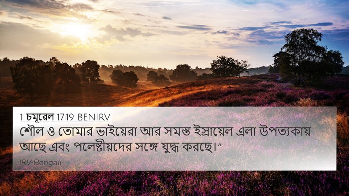 1 চমূৱেল 17:19 BENIRV Bible Verse Image