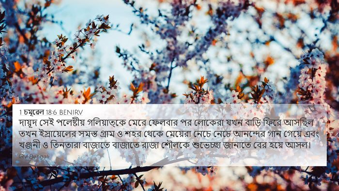 1 চমূৱেল 18:6 BENIRV 4K Wallpaper - দায়ূদ সেই - 4K Wallpaper Bible Verse