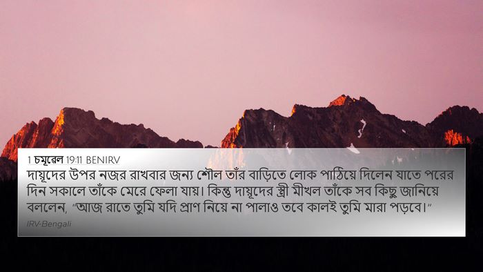 1 চমূৱেল 19:11 BENIRV Bible Verse Image