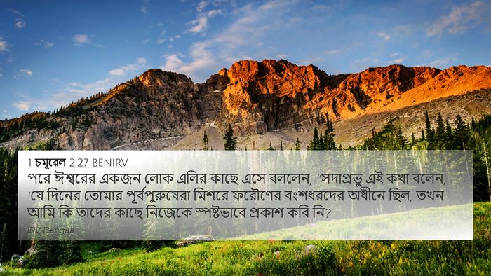 1 চমূৱেল 2:27 BENIRV Bible Verse Image