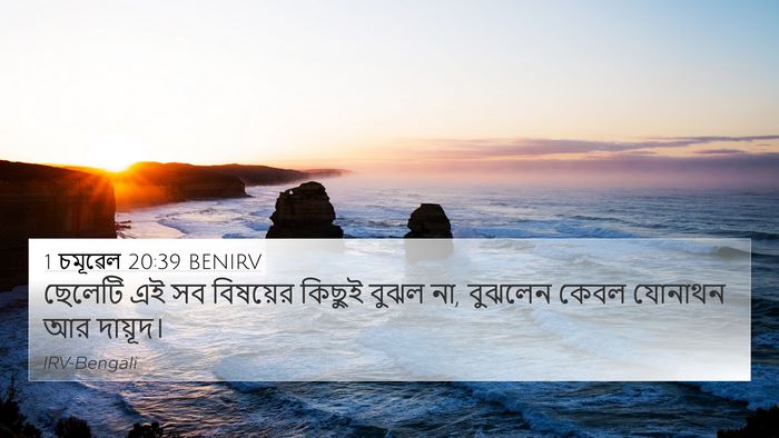 1 চমূৱেল 20:39 BENIRV 4K Wallpaper - ছেলেটি এই সব - 4K Wallpaper Bible Verse