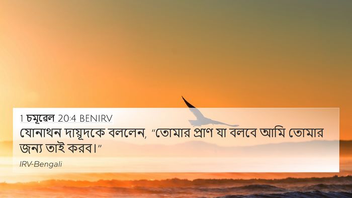 1 চমূৱেল 20:4 BENIRV 4K Wallpaper - যোনাথন দায়ূদকে - 4K Wallpaper Bible Verse