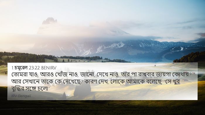 1 চমূৱেল 23:22 BENIRV Bible Verse Image