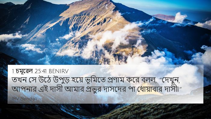 1 চমূৱেল 25:41 BENIRV Bible Verse Image