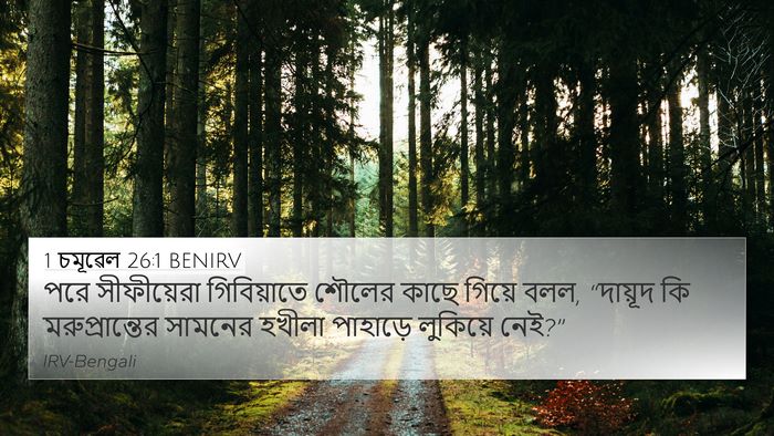 1 চমূৱেল 26:1 BENIRV Bible Verse Image