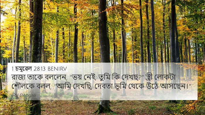 1 চমূৱেল 28:13 BENIRV Bible Verse Image