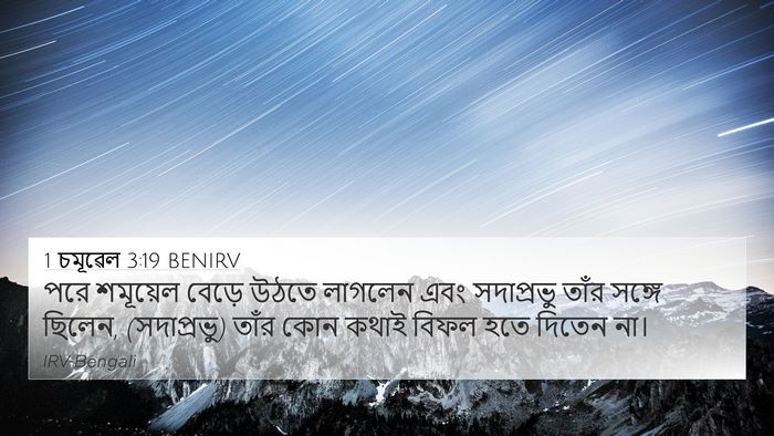 1 চমূৱেল 3:19 BENIRV Bible Verse Image