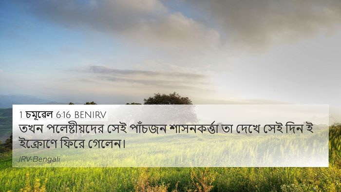 1 চমূৱেল 6:16 BENIRV 4K Wallpaper - তখন পলেষ্টীয়দের - 4K Wallpaper Bible Verse