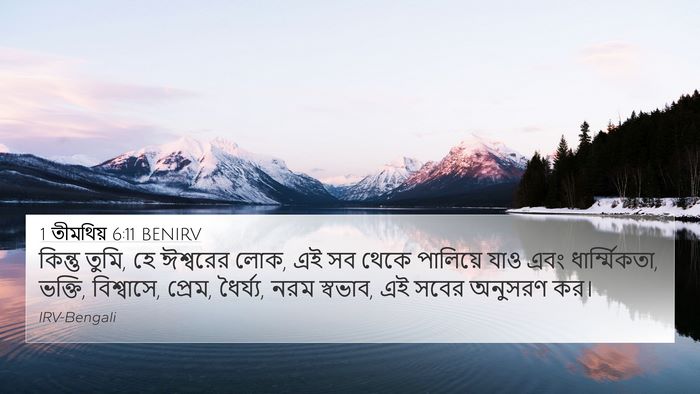 1 তীমথিয় 6:11 BENIRV Bible Verse Image