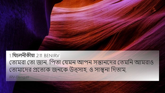 1 থিচলনীকীয়া 2:11 BENIRV Bible Verse Image