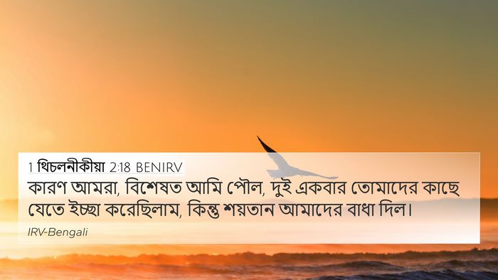 1 থিচলনীকীয়া 2:18 BENIRV Bible Verse Image