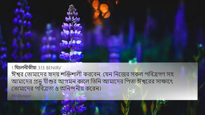 1 থিচলনীকীয়া 3:13 BENIRV Bible Verse Image
