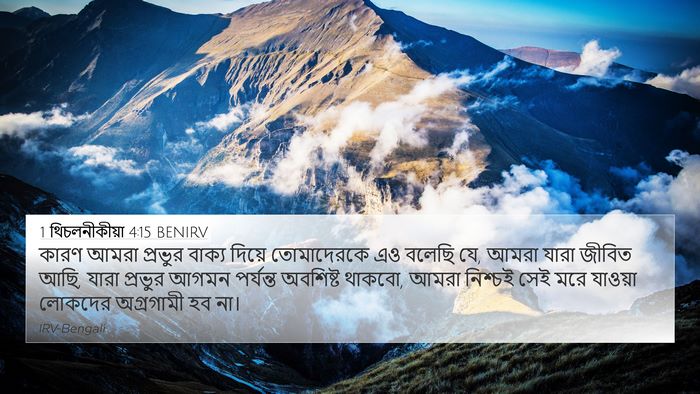 1 থিচলনীকীয়া 4:15 BENIRV Bible Verse Image