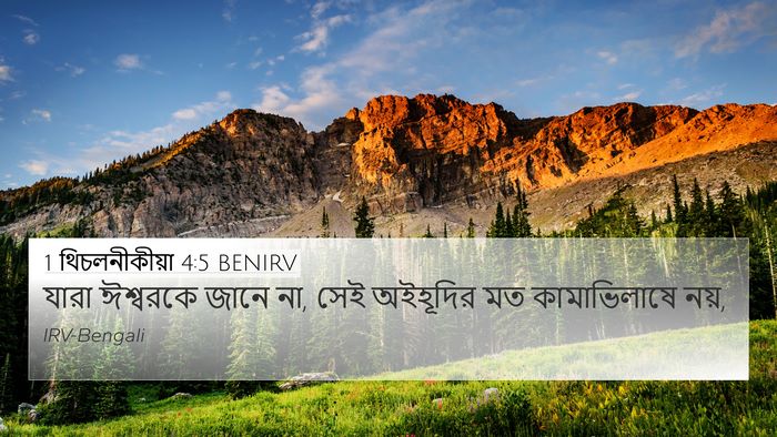 1 থিচলনীকীয়া 4:5 BENIRV Bible Verse Image