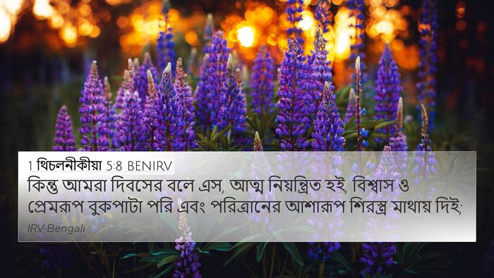 1 থিচলনীকীয়া 5:8 BENIRV Bible Verse Image