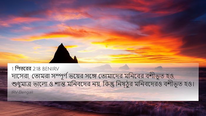 1 পিতরের 2:18 BENIRV 4K Wallpaper - দাসেরা, তোমরা - 4K Wallpaper Bible Verse