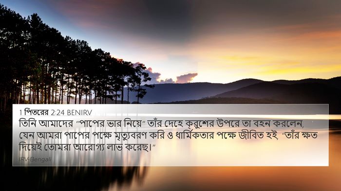 1 পিতরের 2:24 BENIRV Bible Verse Image