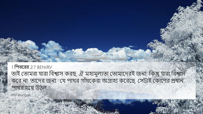 1 পিতরের 2:7 BENIRV 4K Wallpaper - তাই তোমরা যারা - 4K Wallpaper Bible Verse