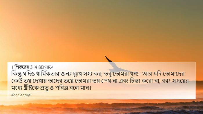 1 পিতরের 3:14 BENIRV Bible Verse Image