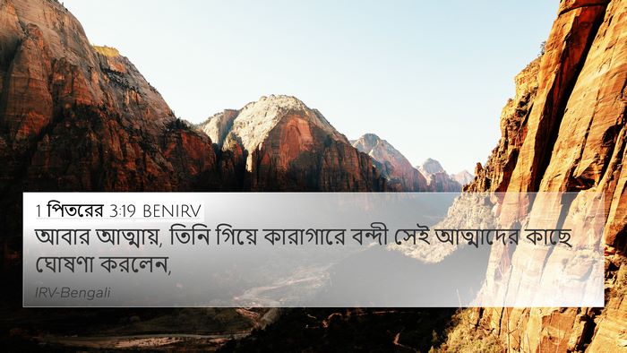 1 পিতরের 3:19 BENIRV Bible Verse Image