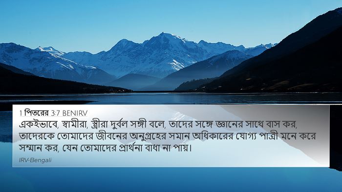 1 পিতরের 3:7 BENIRV Bible Verse Image