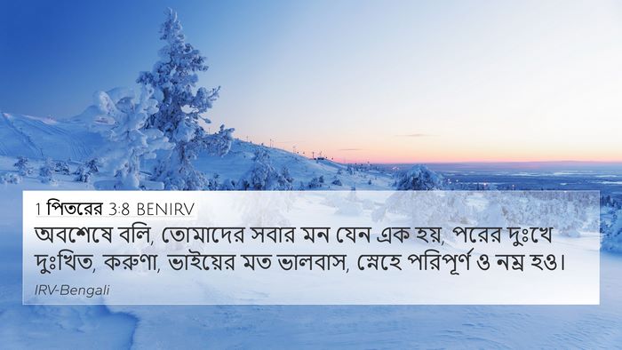 1 পিতরের 3:8 BENIRV Bible Verse Image